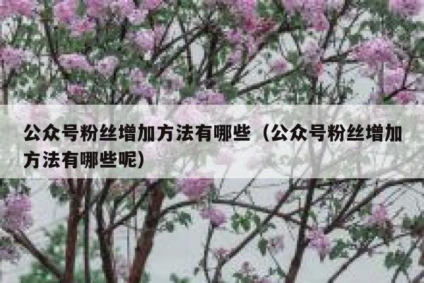 公众号粉丝增加方法有哪些（公众号粉丝增加方法有哪些呢） 第1张