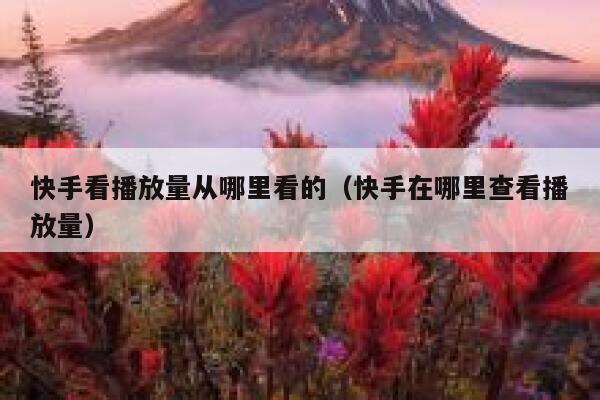 快手看播放量从哪里看的（快手在哪里查看播放量） 第1张
