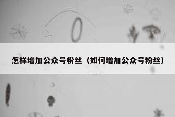 怎样增加公众号粉丝（如何增加公众号粉丝） 第1张