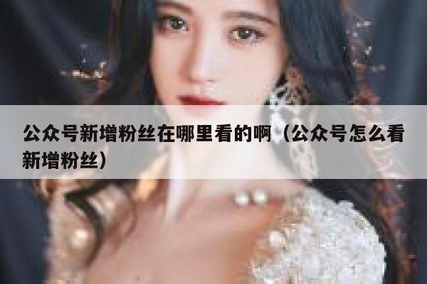 公众号新增粉丝在哪里看的啊（公众号怎么看新增粉丝） 第1张
