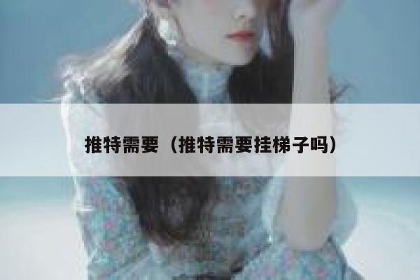 推特需要（推特需要挂梯子吗） 第1张