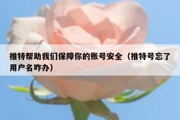 推特帮助我们保障你的账号安全（推特号忘了用户名咋办） 第1张