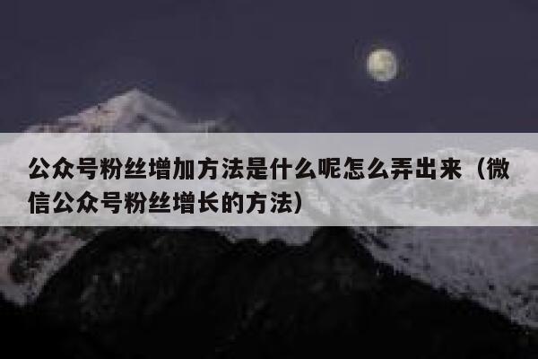 公众号粉丝增加方法是什么呢怎么弄出来（微信公众号粉丝增长的方法） 第1张