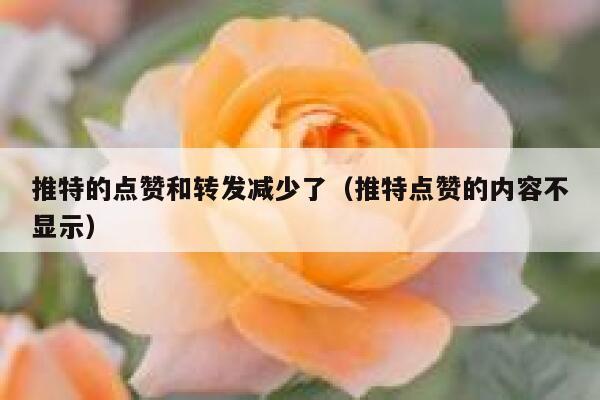 推特的点赞和转发减少了（推特点赞的内容不显示） 第1张