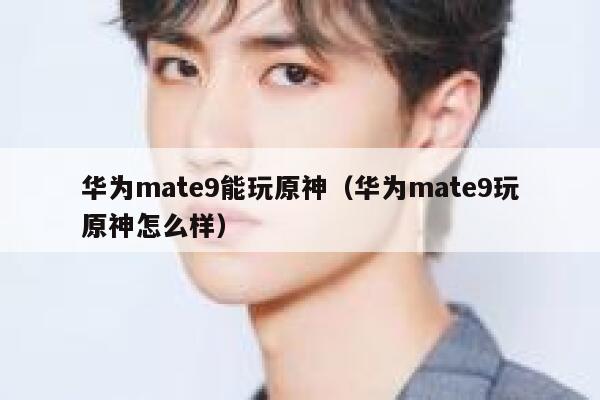 华为mate9能玩原神（华为mate9玩原神怎么样） 第1张