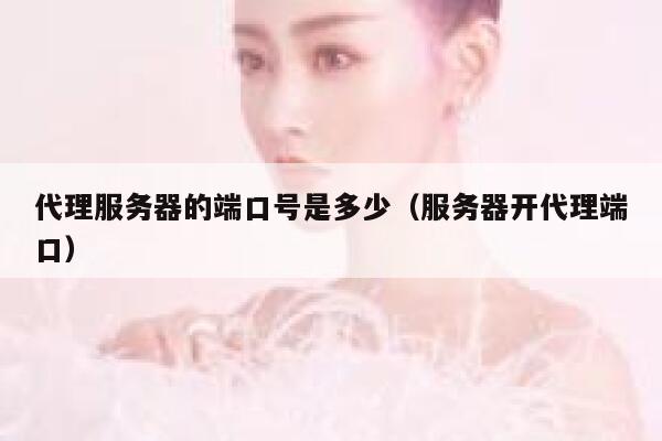 代理服务器的端口号是多少（服务器开代理端口） 第1张