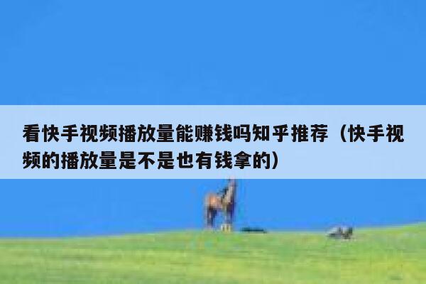 看快手视频播放量能赚钱吗知乎推荐（快手视频的播放量是不是也有钱拿的） 第1张