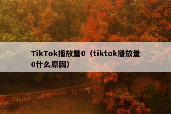 TikTok播放量0（tiktok播放量0什么原因） 第1张