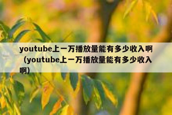 youtube上一万播放量能有多少收入啊（youtube上一万播放量能有多少收入啊） 第1张
