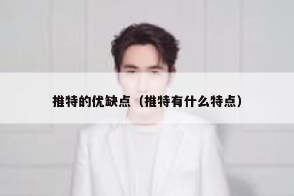 推特的优缺点（推特有什么特点） 第1张