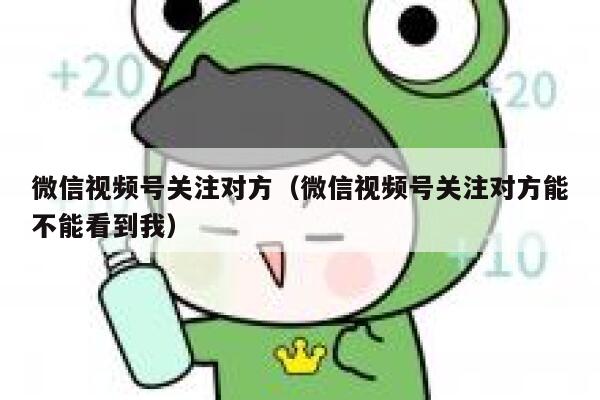 微信视频号关注对方（微信视频号关注对方能不能看到我） 第1张