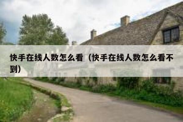 快手在线人数怎么看（快手在线人数怎么看不到） 第1张