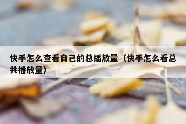 快手怎么查看自己的总播放量（快手怎么看总共播放量） 第1张
