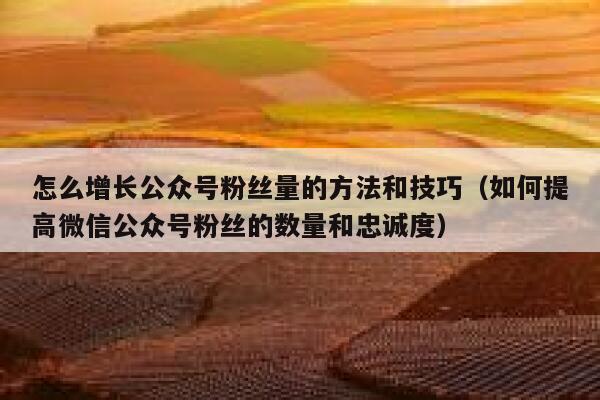 怎么增长公众号粉丝量的方法和技巧（如何提高微信公众号粉丝的数量和忠诚度） 第1张
