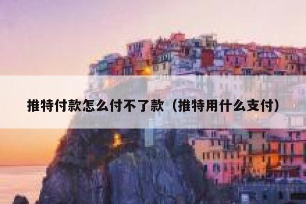 推特付款怎么付不了款（推特用什么支付） 第1张