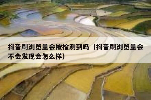 抖音刷浏览量会被检测到吗（抖音刷浏览量会不会发现会怎么样） 第1张
