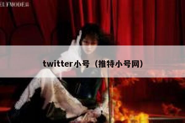 twitter小号（推特小号网） 第1张