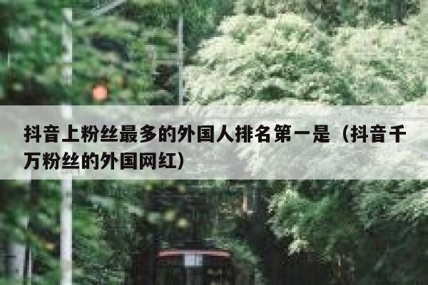 抖音上粉丝最多的外国人排名第一是（抖音千万粉丝的外国网红） 第1张