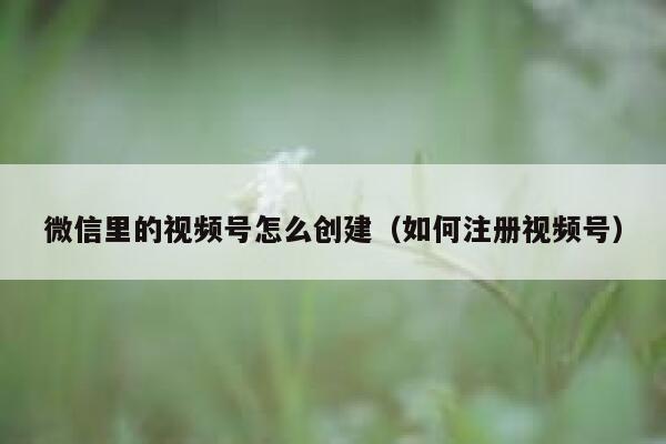 微信里的视频号怎么创建（如何注册视频号） 第1张
