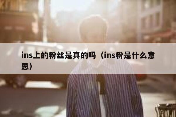 ins上的粉丝是真的吗（ins粉是什么意思） 第1张