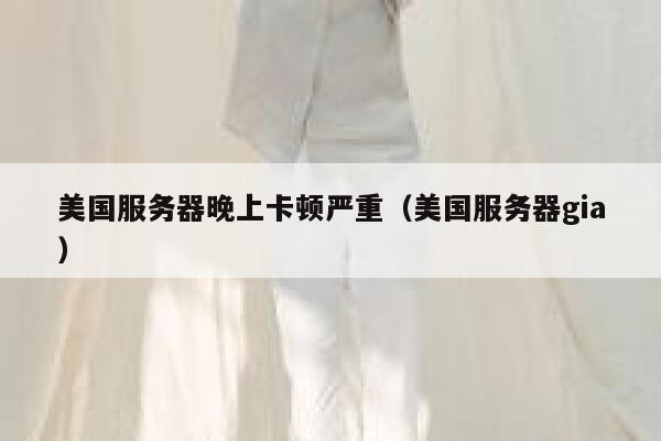 美国服务器晚上卡顿严重（美国服务器gia） 第1张