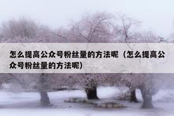 怎么提高公众号粉丝量的方法呢（怎么提高公众号粉丝量的方法呢） 第1张