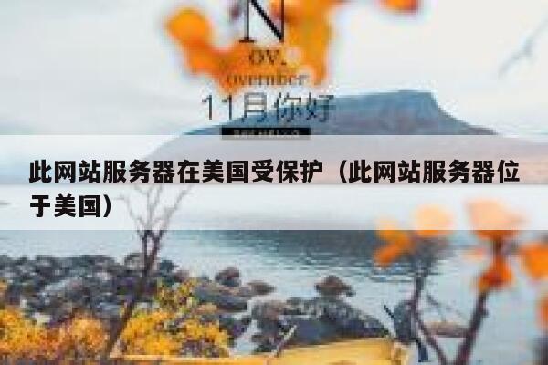 此网站服务器在美国受保护（此网站服务器位于美国） 第1张