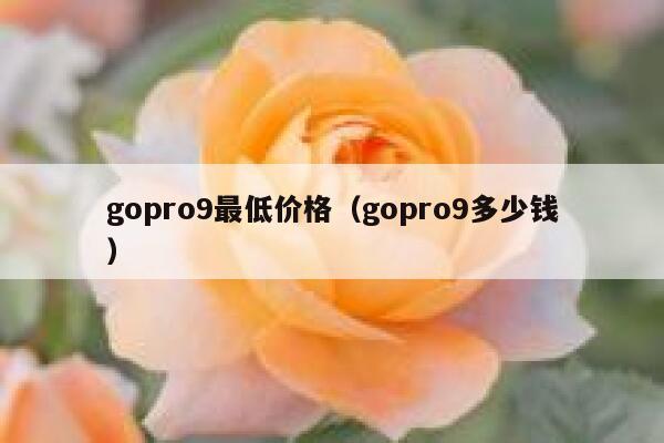 gopro9最低价格（gopro9多少钱） 第1张
