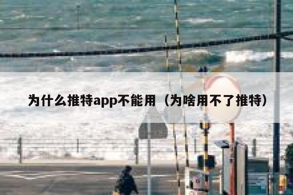 为什么推特app不能用（为啥用不了推特） 第1张