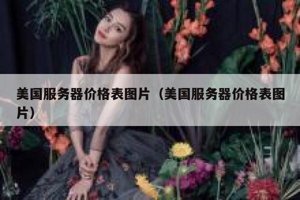 美国服务器价格表图片（美国服务器价格表图片） 第1张