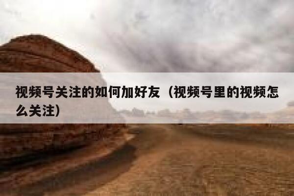 视频号关注的如何加好友（视频号里的视频怎么关注） 第1张