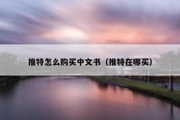 推特怎么购买中文书（推特在哪买） 第1张