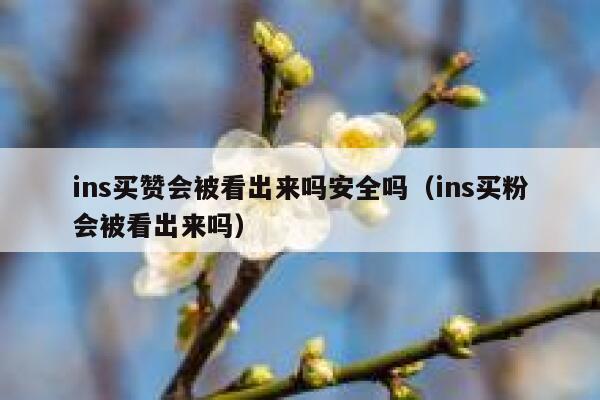 ins买赞会被看出来吗安全吗（ins买粉会被看出来吗） 第1张