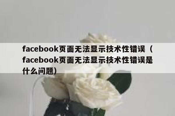 facebook页面无法显示技术性错误（facebook页面无法显示技术性错误是什么问题） 第1张