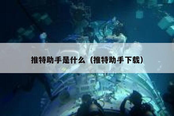 推特助手是什么（推特助手下载） 第1张