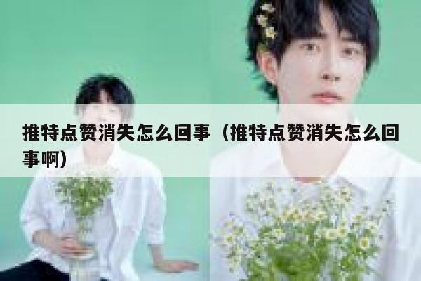 推特点赞消失怎么回事（推特点赞消失怎么回事啊） 第1张