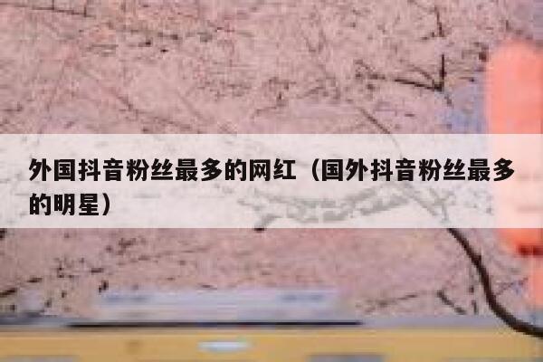 外国抖音粉丝最多的网红（国外抖音粉丝最多的明星） 第1张