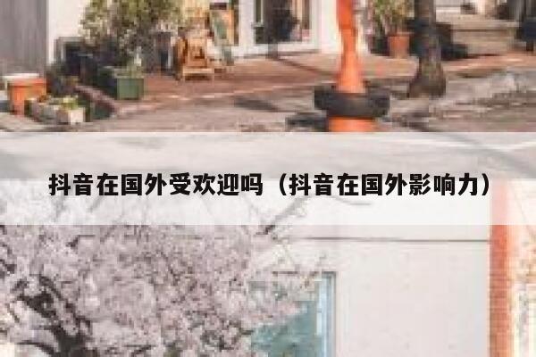 抖音在国外受欢迎吗（抖音在国外影响力） 第1张