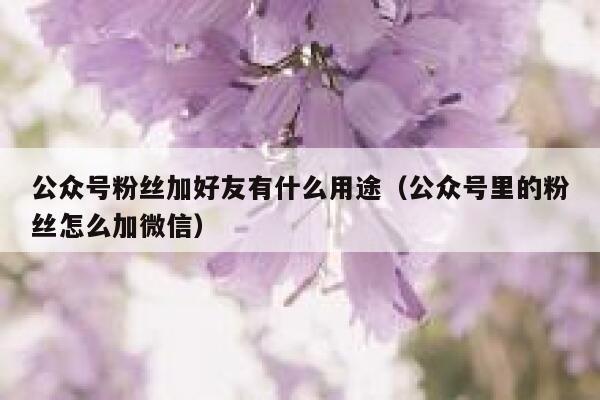 公众号粉丝加好友有什么用途（公众号里的粉丝怎么加微信） 第1张