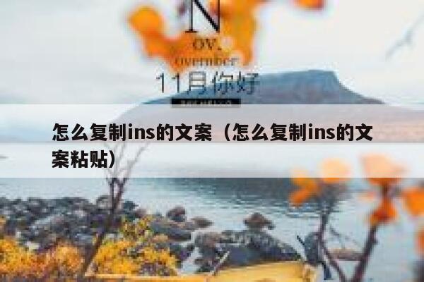 怎么复制ins的文案（怎么复制ins的文案粘贴） 第1张