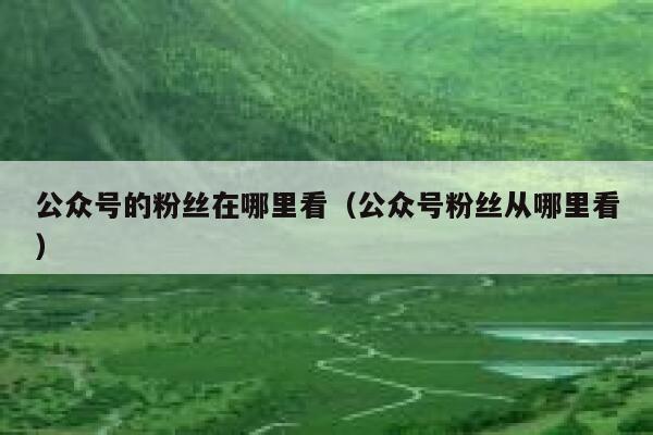 公众号的粉丝在哪里看（公众号粉丝从哪里看） 第1张