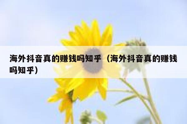海外抖音真的赚钱吗知乎（海外抖音真的赚钱吗知乎） 第1张