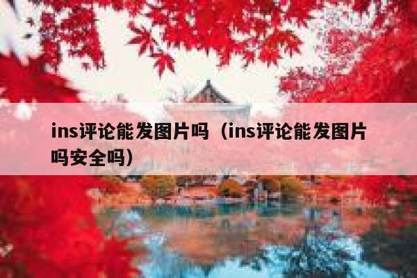 ins评论能发图片吗（ins评论能发图片吗安全吗） 第1张