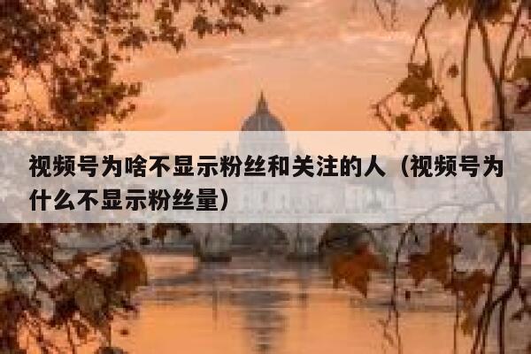 视频号为啥不显示粉丝和关注的人（视频号为什么不显示粉丝量） 第1张