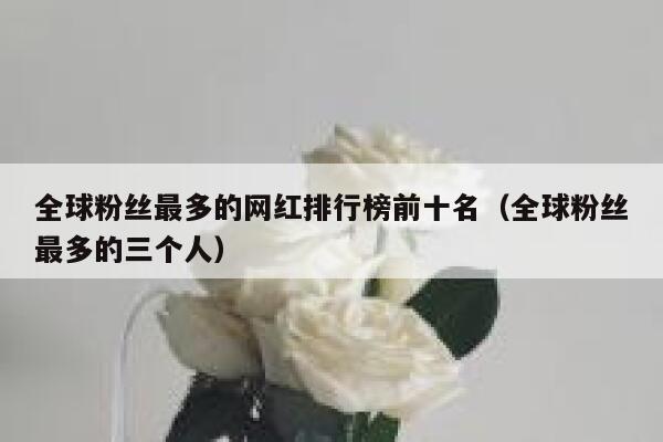 全球粉丝最多的网红排行榜前十名（全球粉丝最多的三个人） 第1张