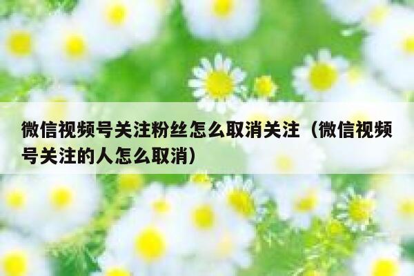 微信视频号关注粉丝怎么取消关注（微信视频号关注的人怎么取消） 第1张