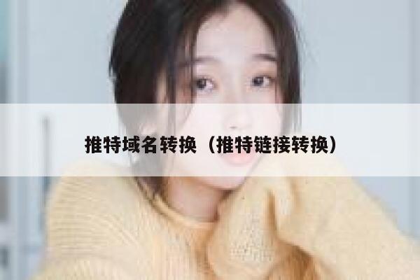 推特域名转换（推特链接转换） 第1张