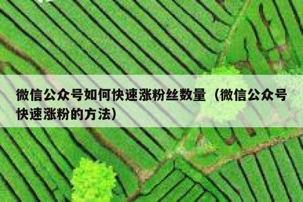微信公众号如何快速涨粉丝数量（微信公众号快速涨粉的方法） 第1张