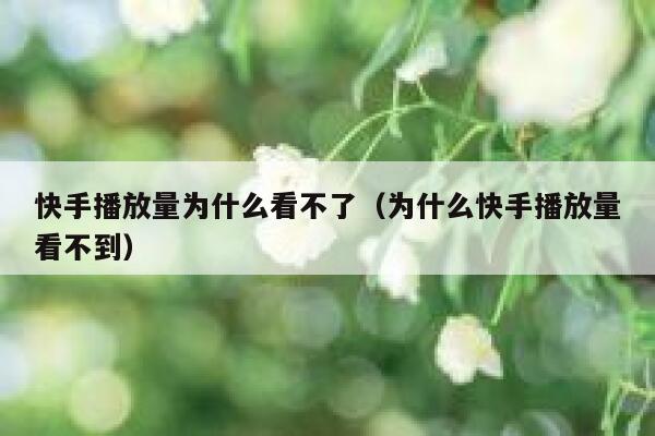 快手播放量为什么看不了（为什么快手播放量看不到） 第1张