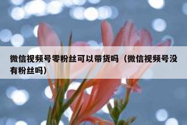 微信视频号零粉丝可以带货吗（微信视频号没有粉丝吗） 第1张